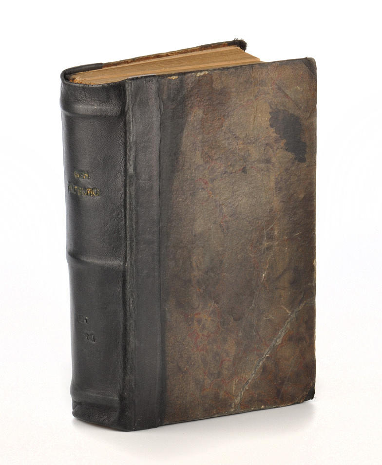 FRANZ JULIUS SCHNEEBERGER AKA ARTHUR STORCH. Ljus och mörker ELLER Wiens Hofburgs hemligheter.