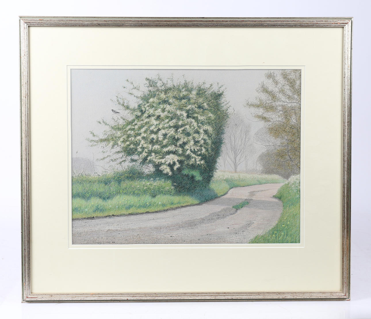 JOHN REANEY, SWLA (1987—2019).