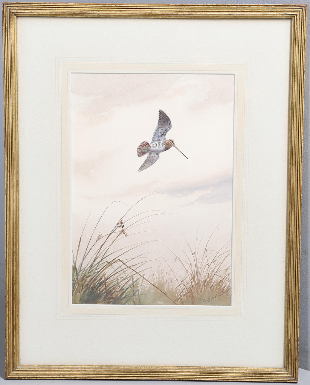 JOHN CYRIL HARRISON (1898-1985). SNIPE TACKING.