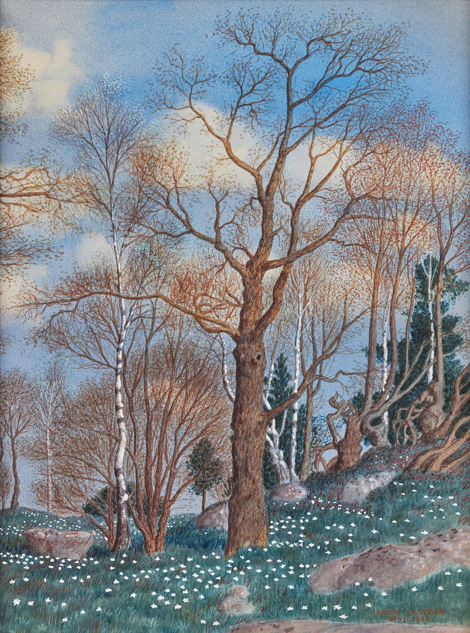 OSKAR BERGMAN. Vitsippsbacke with oaks and birches.