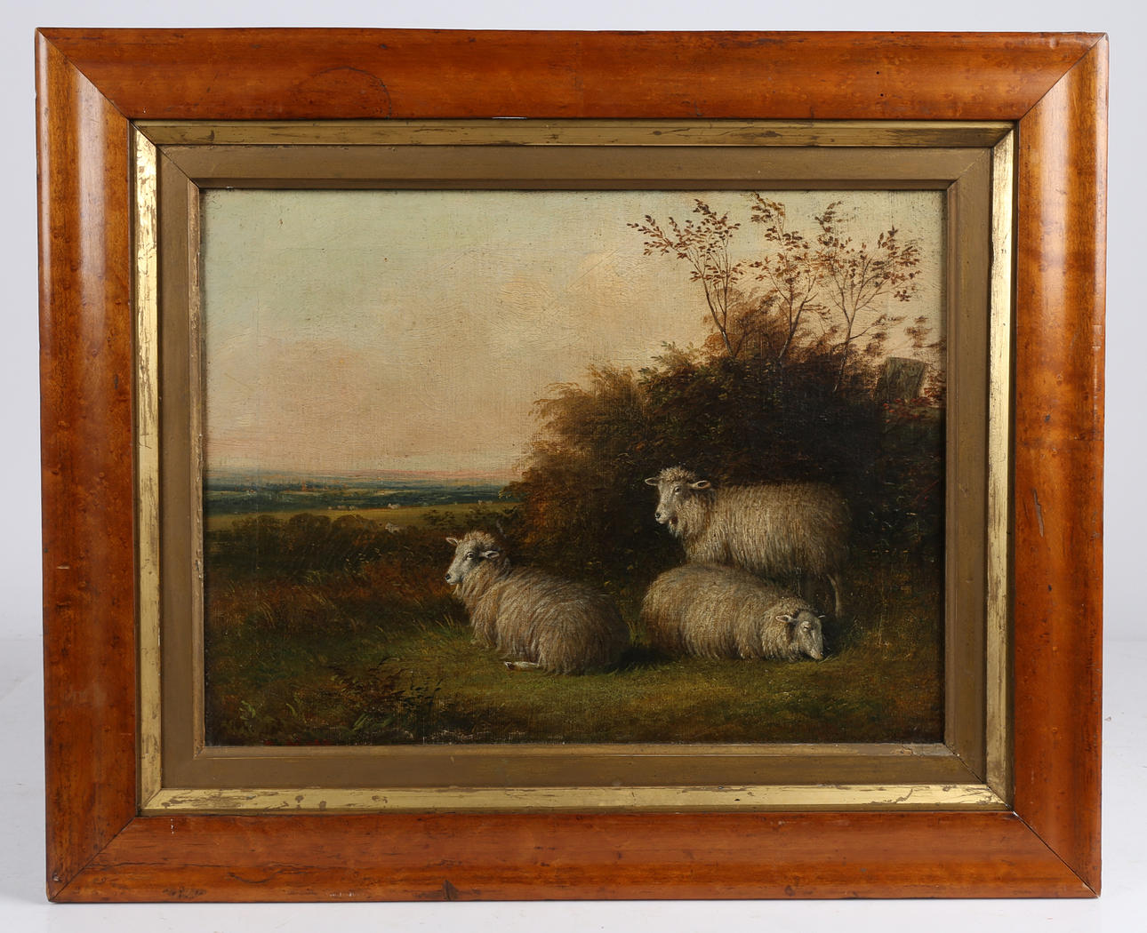 TOM HOLD (BRITISH, 1843-1902).