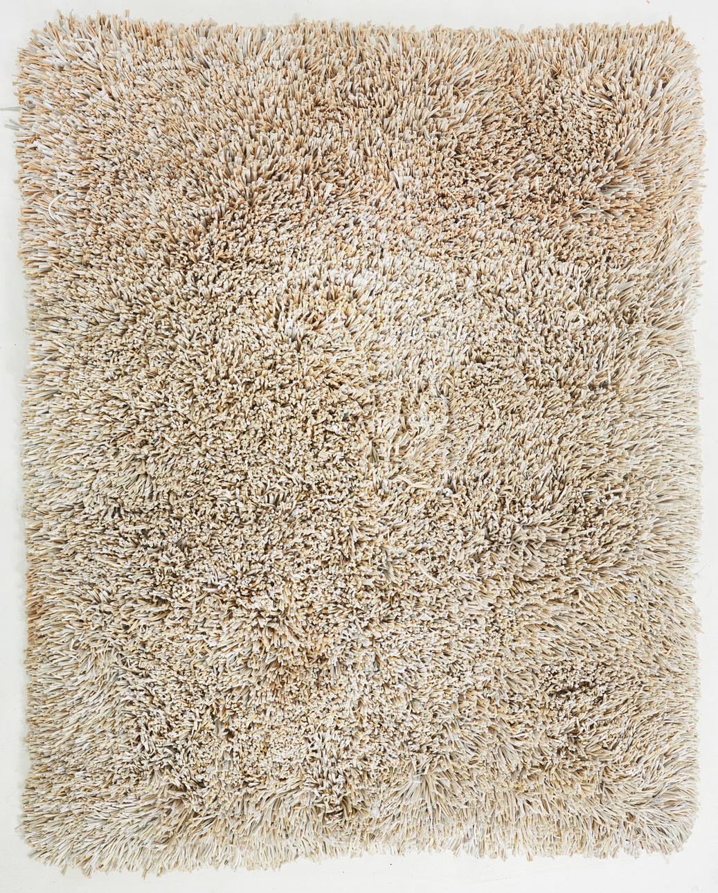 PER HOLKNEKT. trasryamatta.