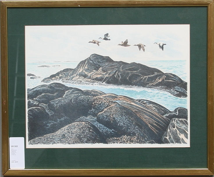 GÖTE GÖRANSSON. Färglitografi, signerad och numrerad 13/250.