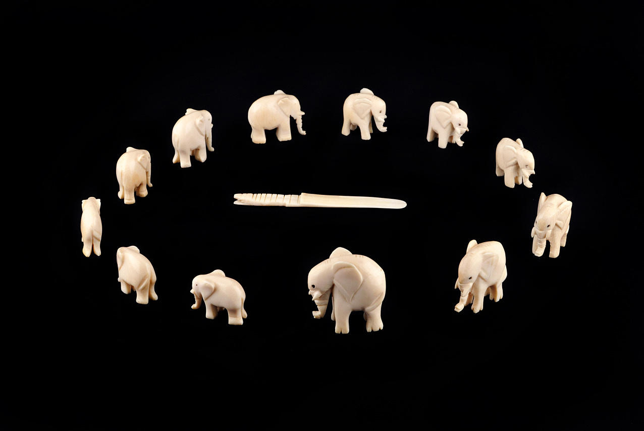 BEINSCHNITZEREI. 12 elefanter från stora till små, krokodil som brevöppnare.