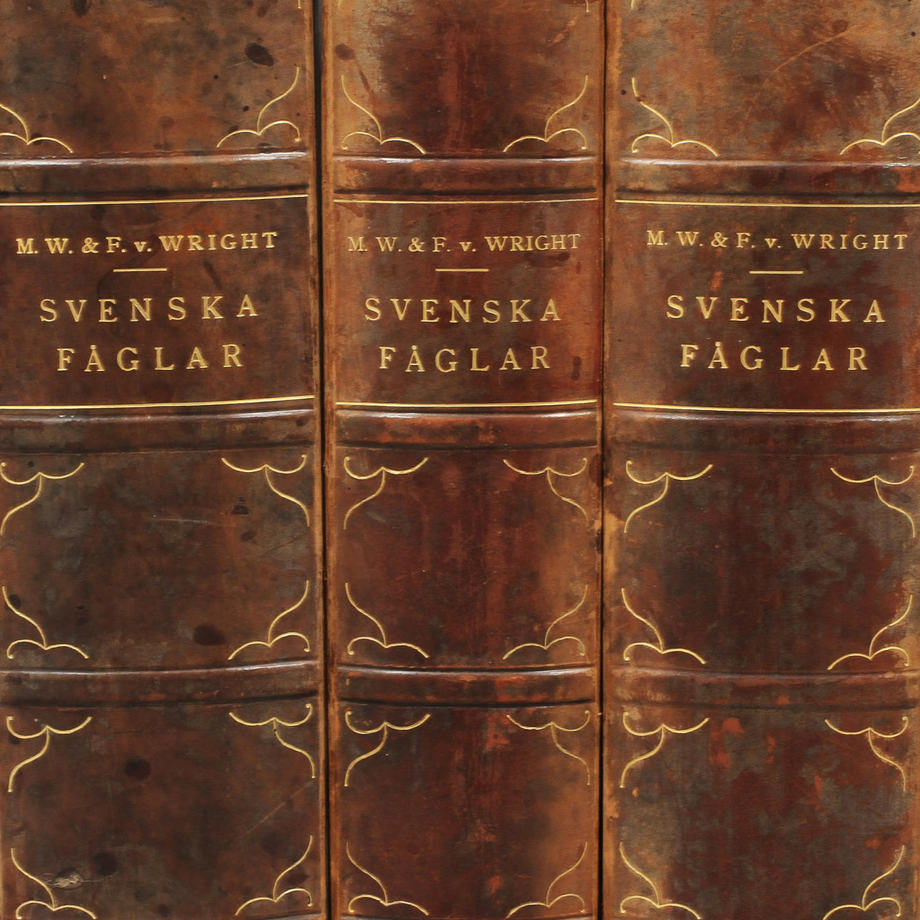 SVENSKA FÅGLAR, 3 band, M.W.& F.v. Wright.