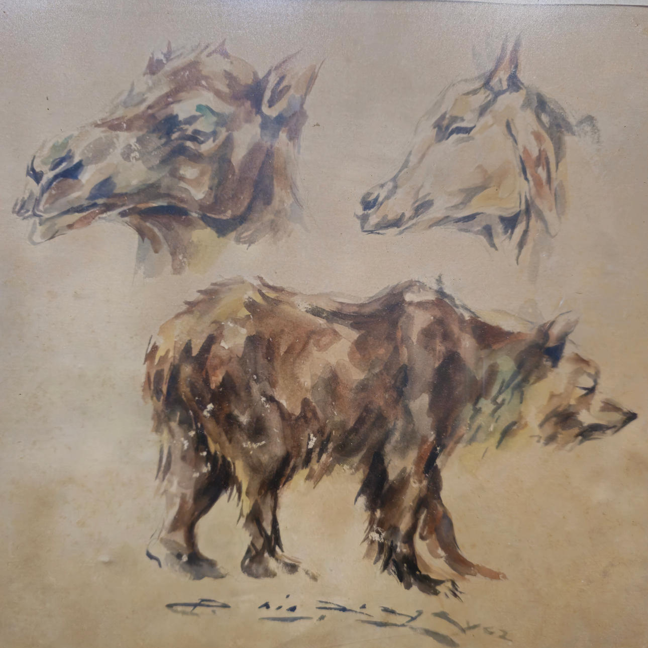 PEDRO NIN ARAGAY. ANIMAL STUDY. WATERCOLOR ON PAPER. Art - Drawings ...