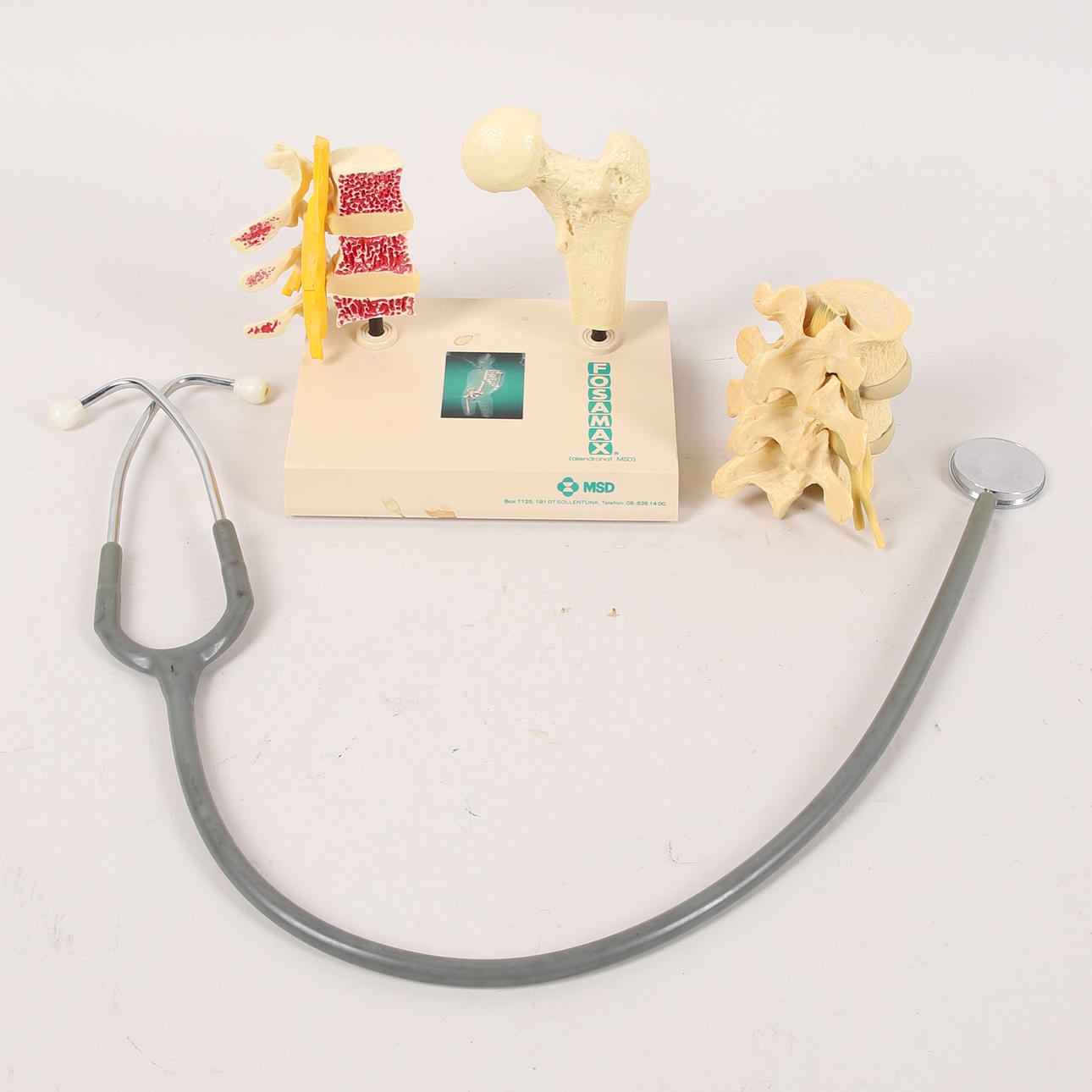 ANATOMISET MALLIT JA STETOSKOOPIT, 1900-luku.