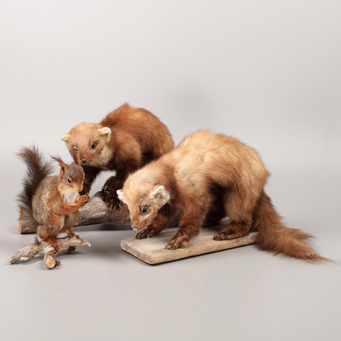 KUSCHELTIERE, 3 Stück, Marder und Eichhörnchen, 2001/2002.