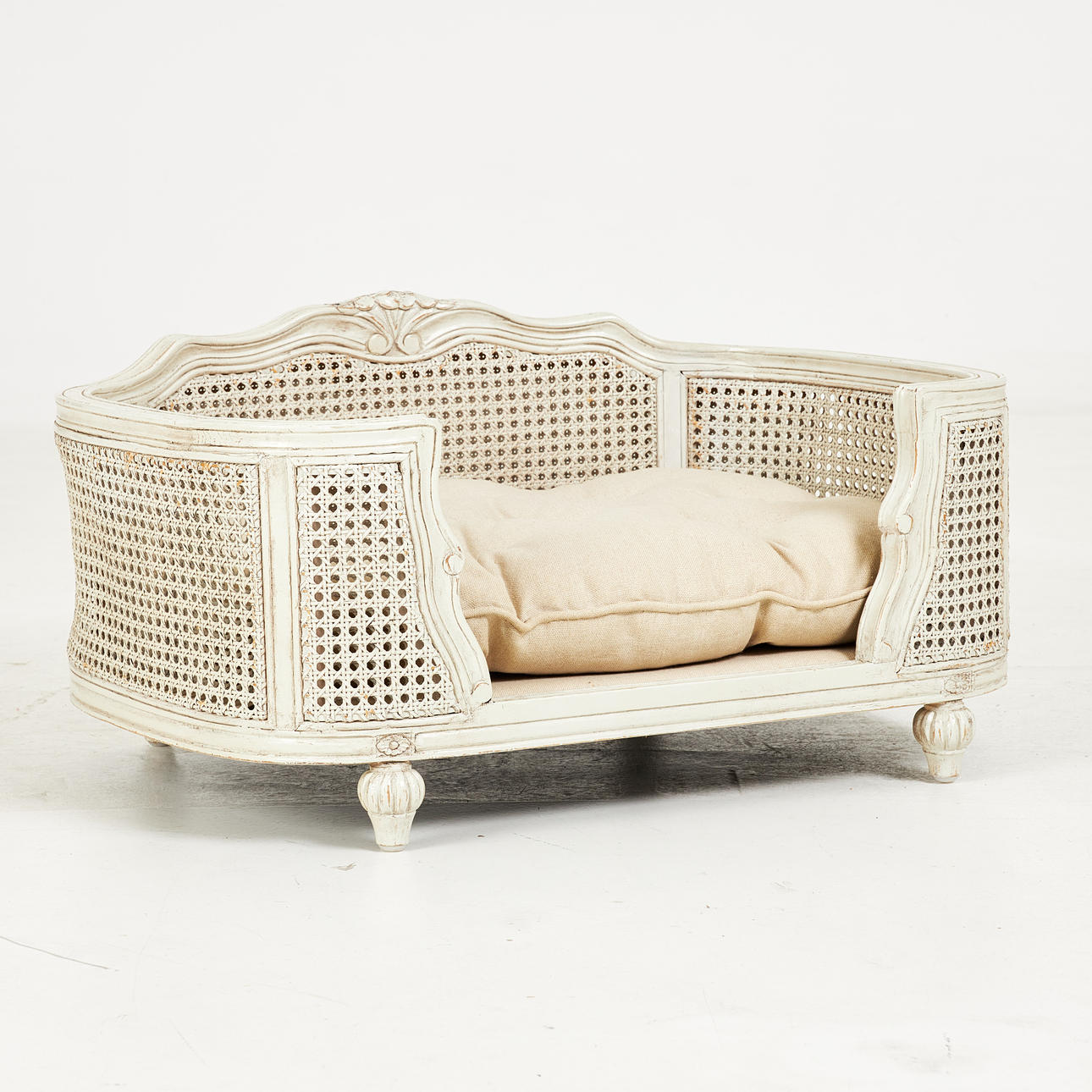 sanabelle trockenfutter Trockenfutter Sanabelle Kitten  Debes Tiernahrung