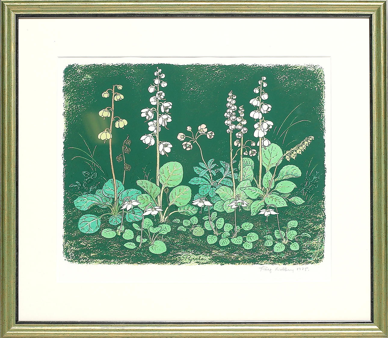 ROLF LIDBERG. Färglitografi, signerad, ej numrerad.