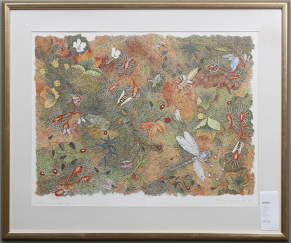 AGNETA GUSSANDER. "Levande myr". Färglitografi, signerad, numrerad 64/310 och daterad 84.