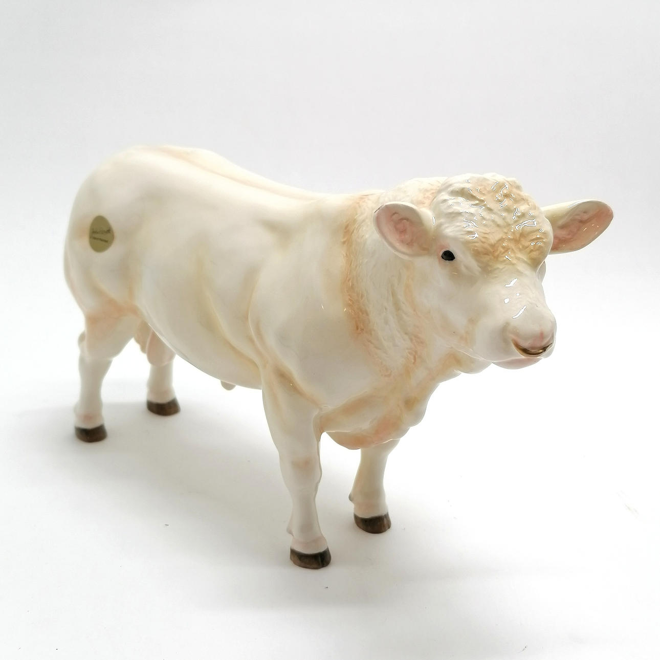 JOHN BESWICK CHAROLAIS TYR.