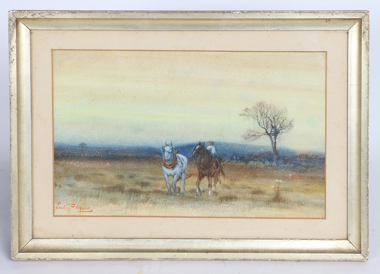 EDWIN F. MOORE (19. JAHRHUNDERT).