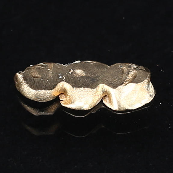 TANDGULD, 6,14 g.