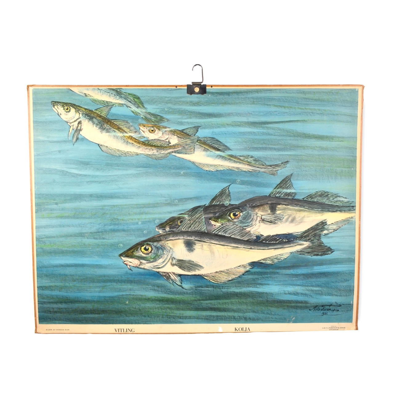 Ein Schulplan, Mitte des 20. Jahrhunderts.