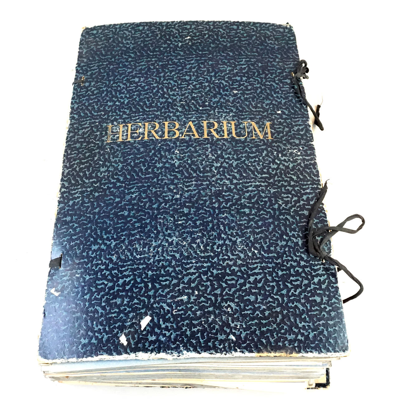 HERBARIUM, 1940-tal.