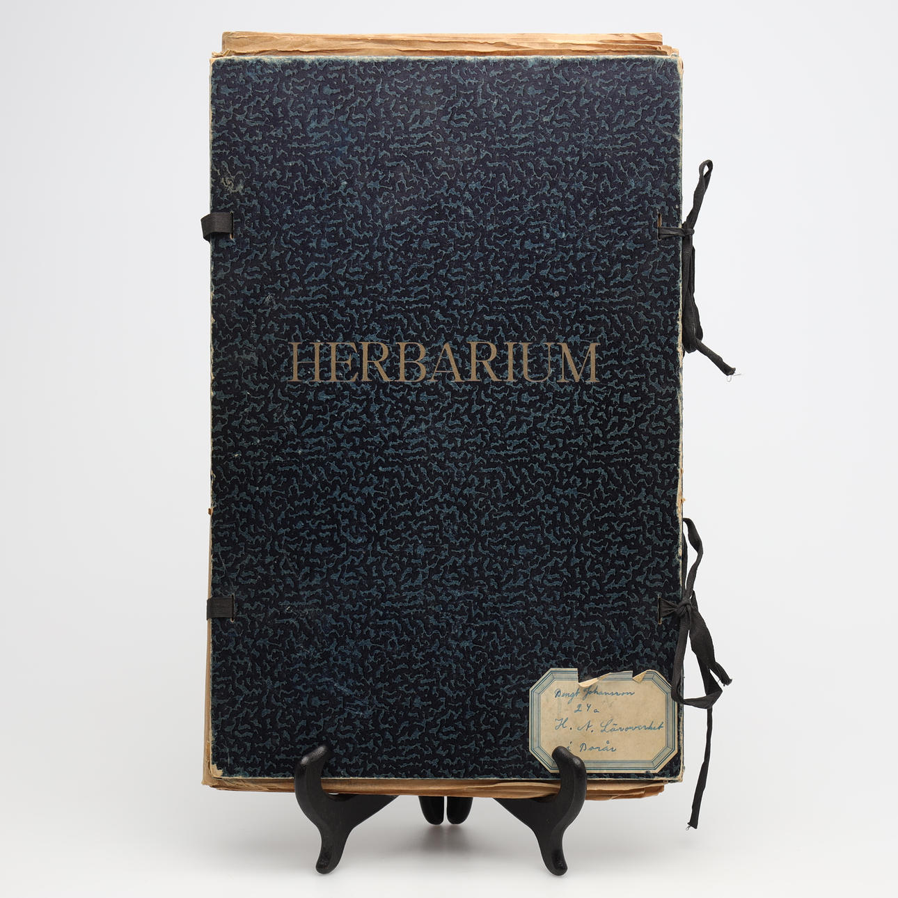HERBARIUM.
