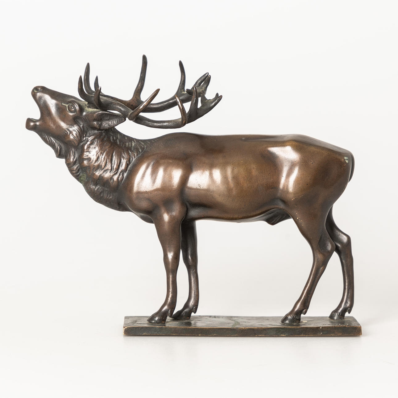 WILHELM CARL ROBRA (1876-1945). Röhrender Hirsch.