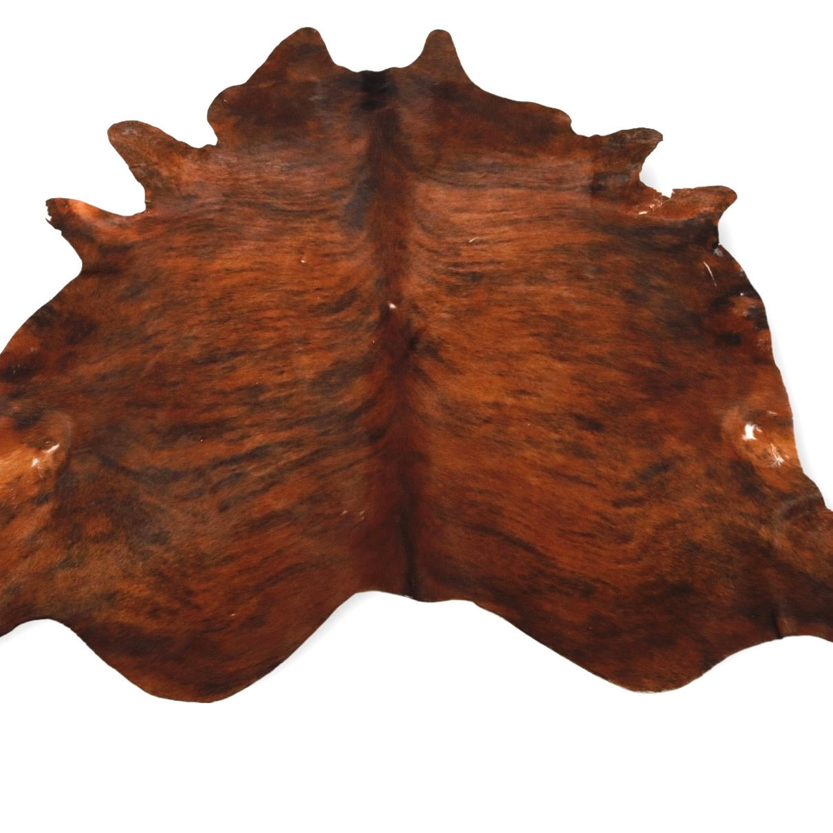 MATTA, Koskinn, 240 x 200 cm.