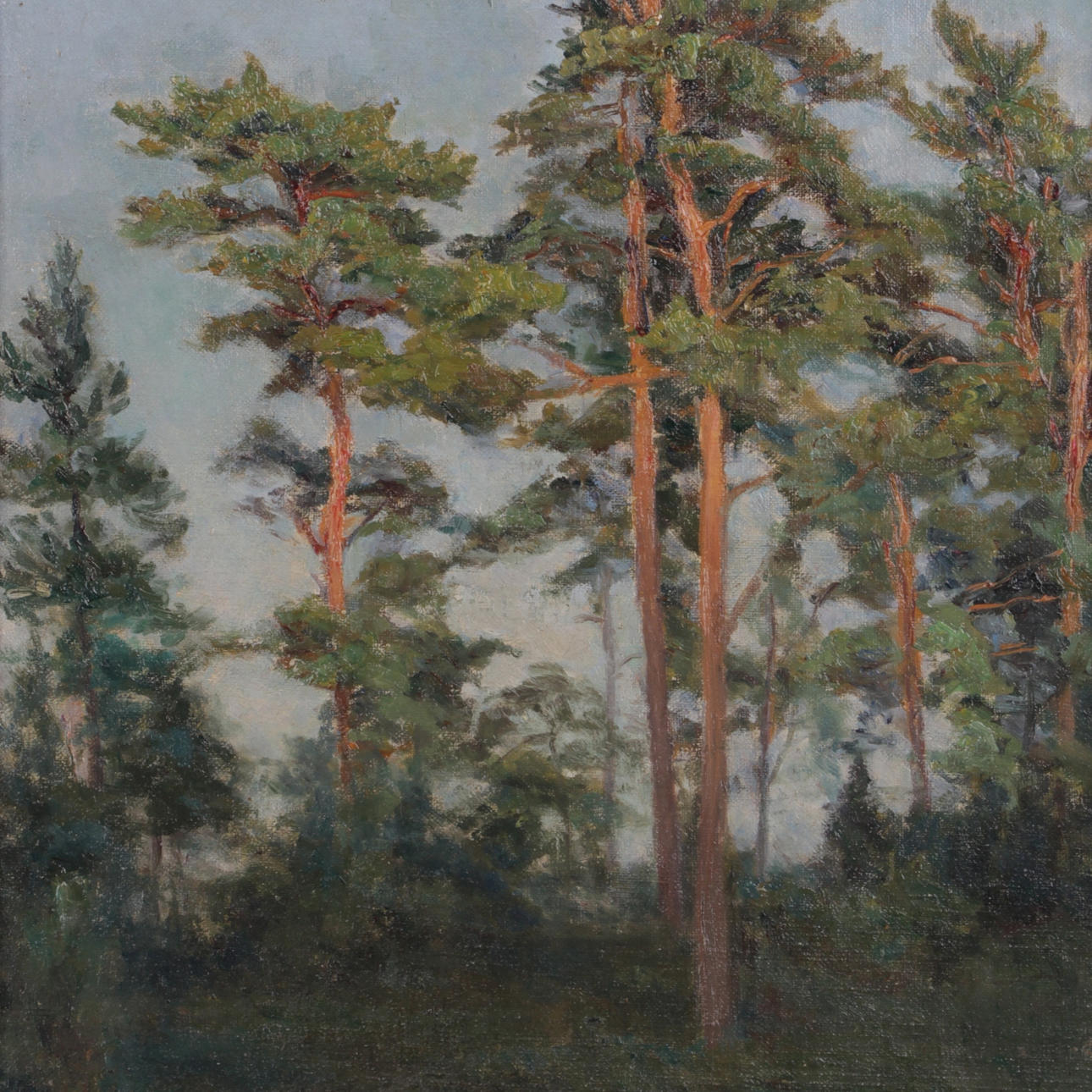 HEDVIG SKARSTEDT. Olja på pannå, skogsmotiv, signerad.