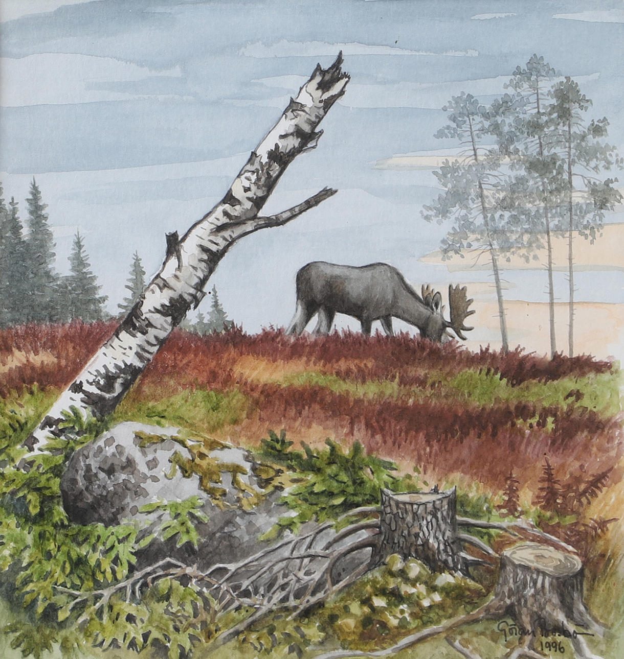 GÖRAN BOSTRÖM. Moose on pasture, watercolor, signed.