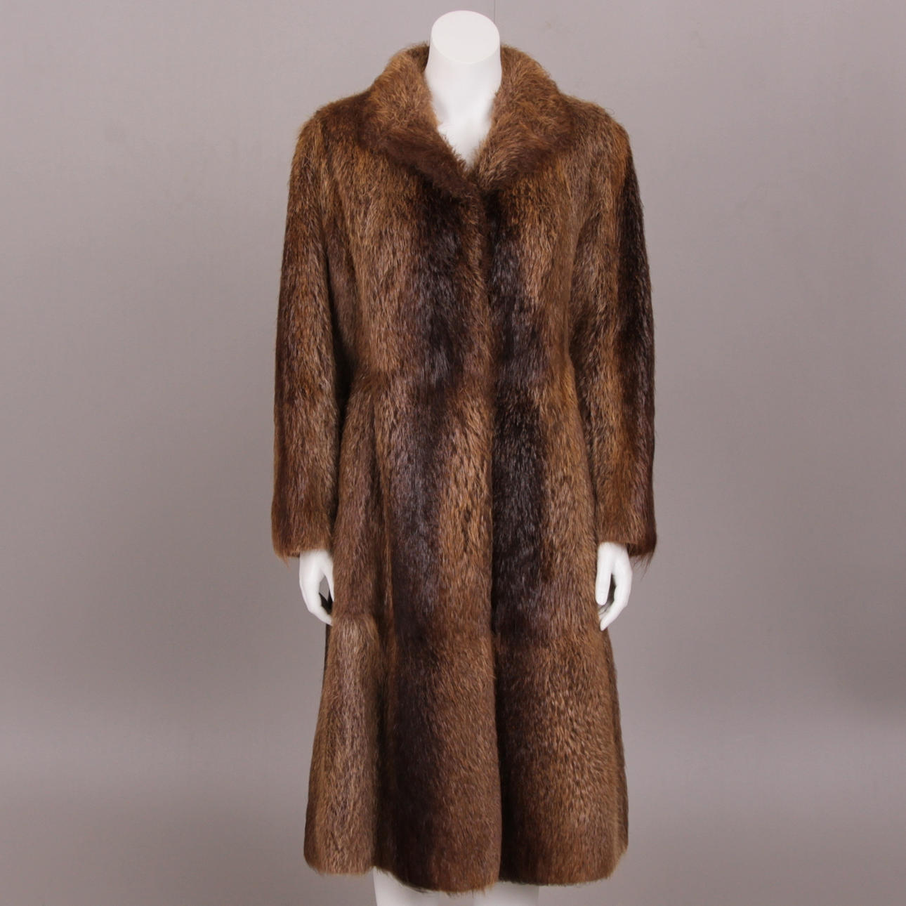 PÄLS, nutria, Södertälje.