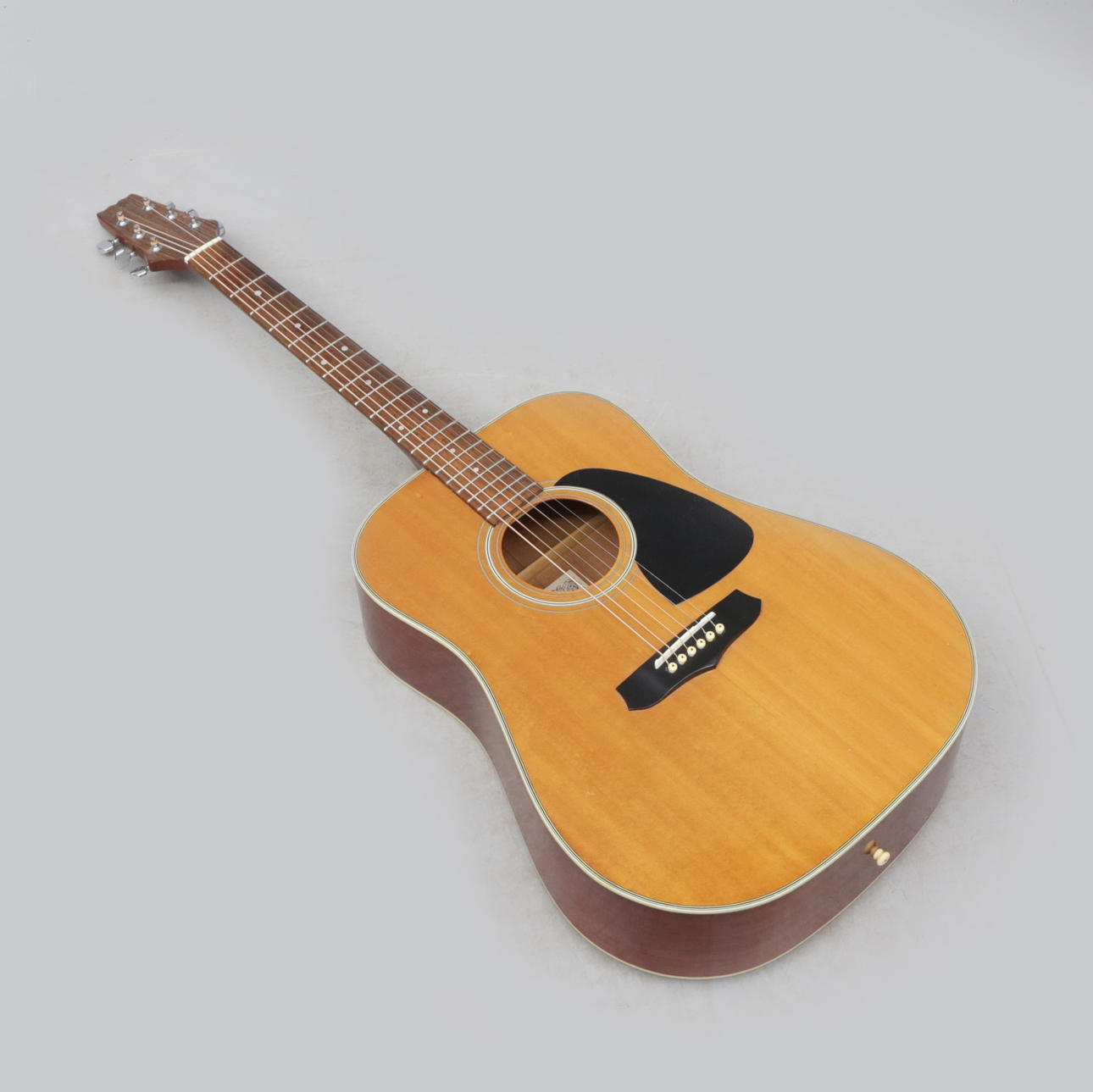 EINE AKUSTIKGITARRE MIT STAHLSAITEN, Aria LW15.