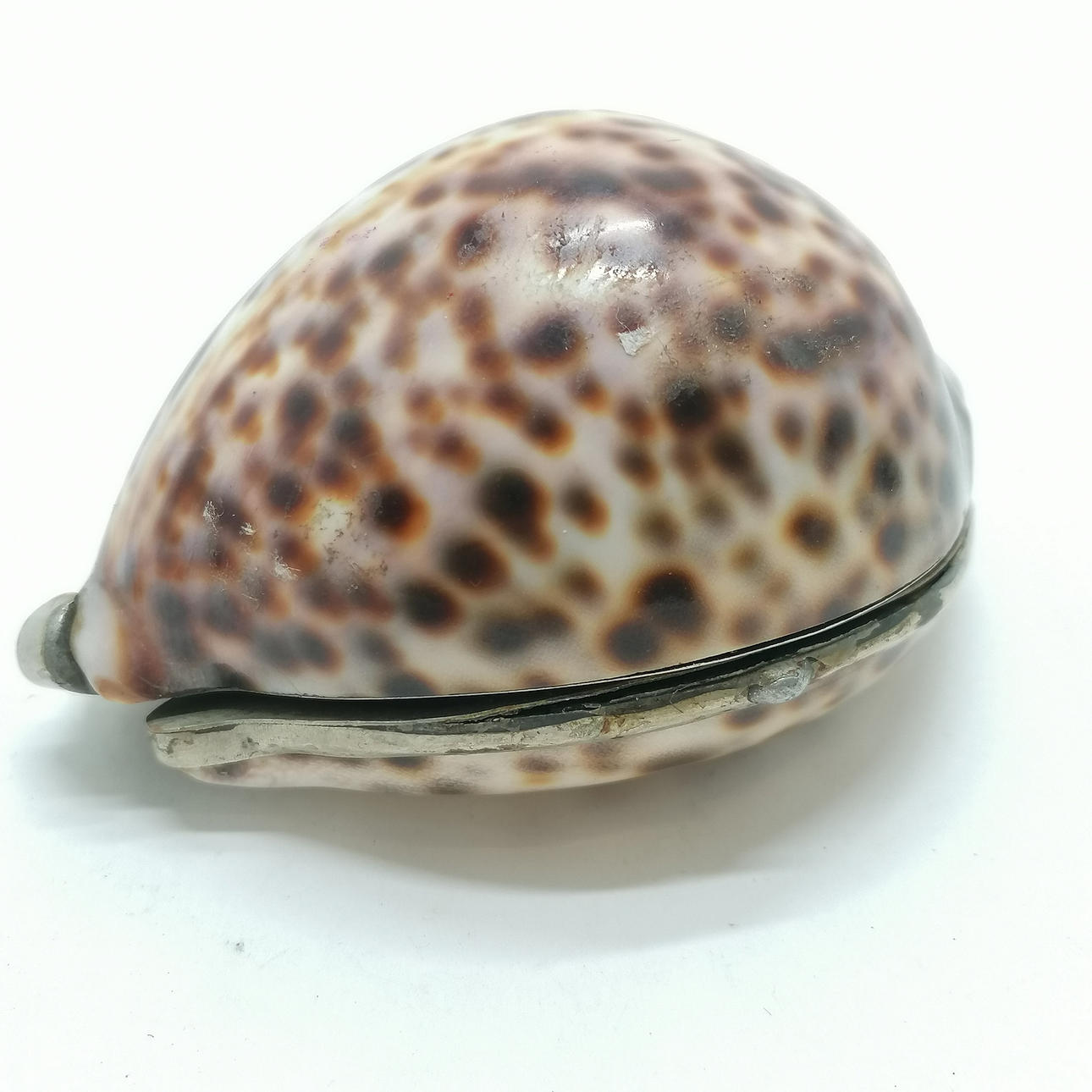 ANTIKE SCHNUPFTABAKDOSE MIT KAURIMUSCHELN.