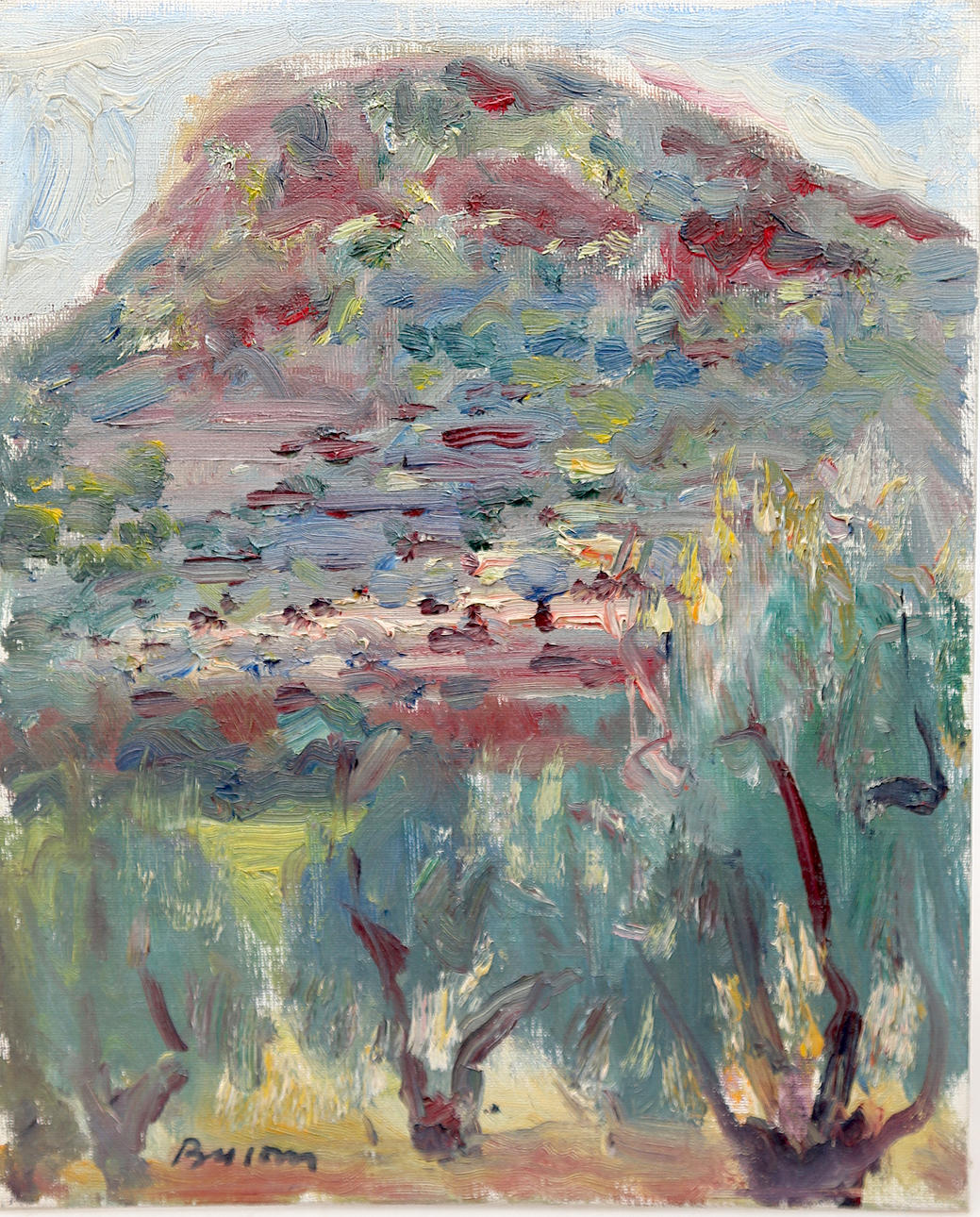 SIMÓ BUSOM. ”Vuori, meriviidakko”.