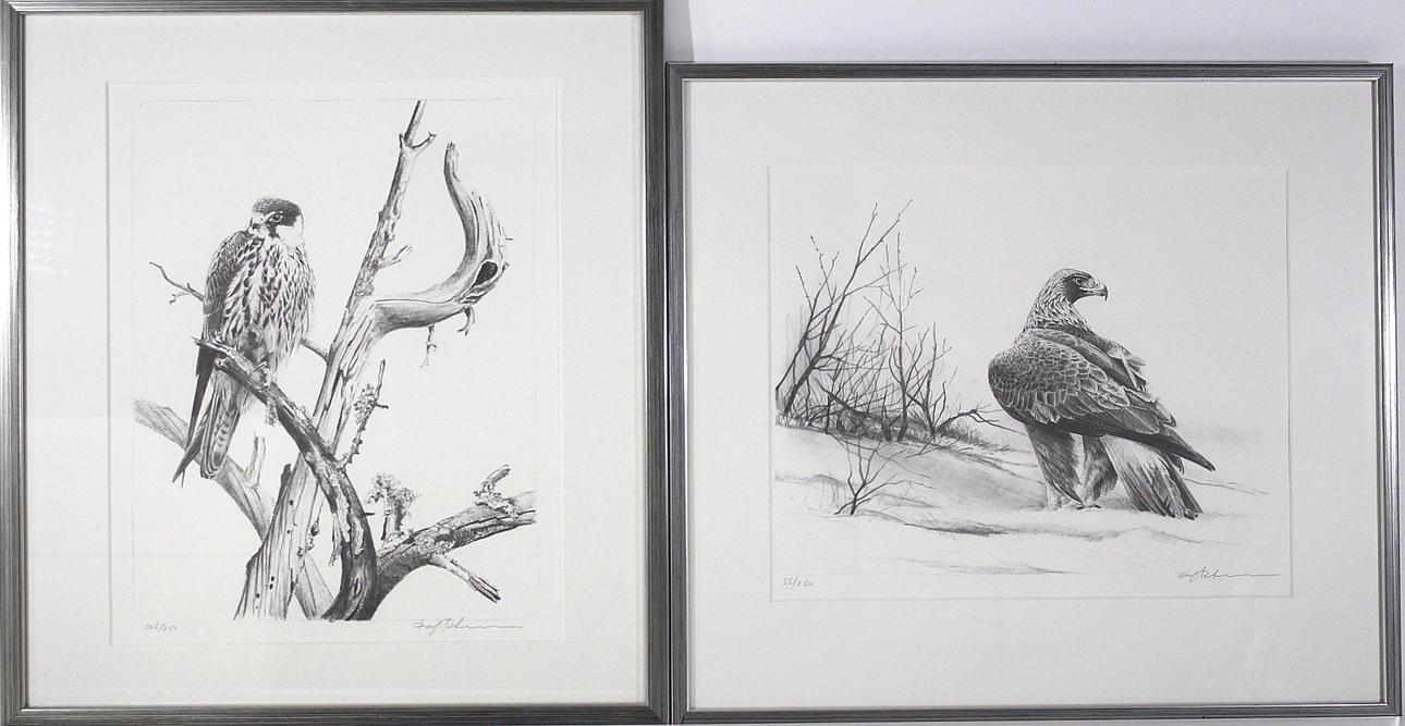 DAG PETTERSSON. litografi, 2 st, " fågelmotiv " numrerade 165/250, 55/250, signerade.