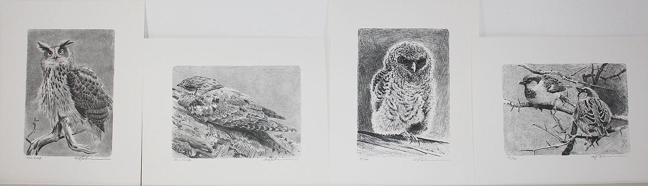 DAG PETTERSSON. litografier, 4 st, " fågelmotiv ", 2 st signerade Hors tirage, 2 st numrerade 92/160, 29/160, signerade Dag Pettersson.