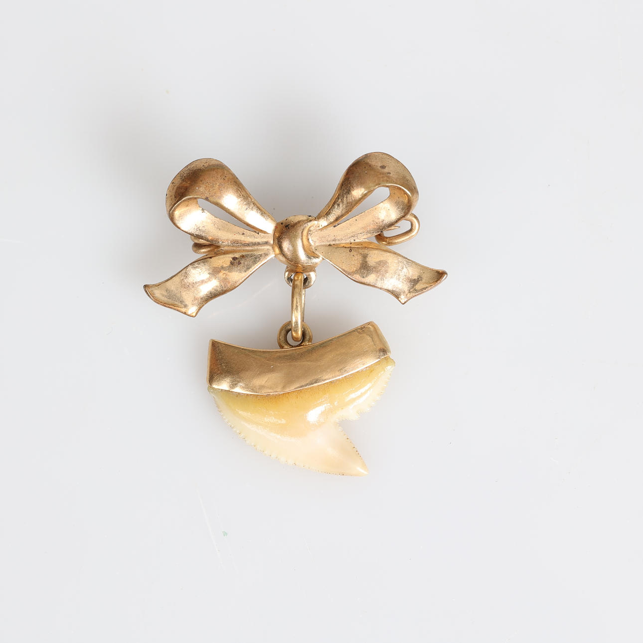 BROSCHE, 18 K Gold, Haifischzahn.