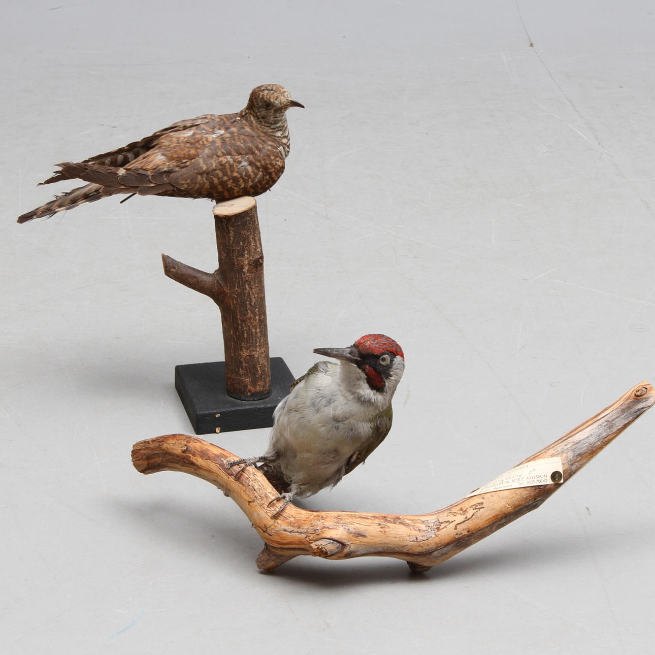 KÄKI ja VIHREÄ GRILLI, täytettynä.