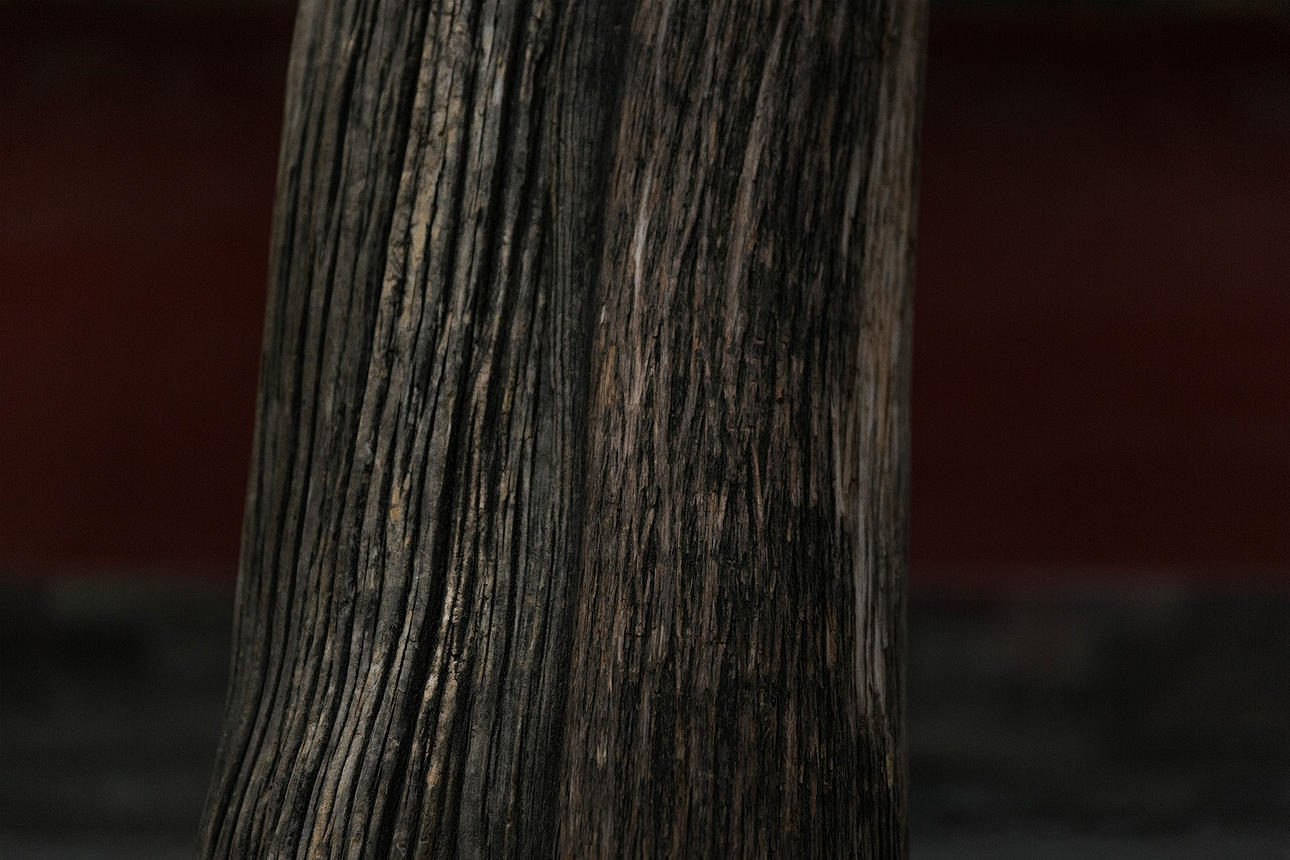 MATHIAS JOHANSSON. "Untitled, Tree Beijing 2014" Archival Pigment Print. Signerad. Edition 1/10.