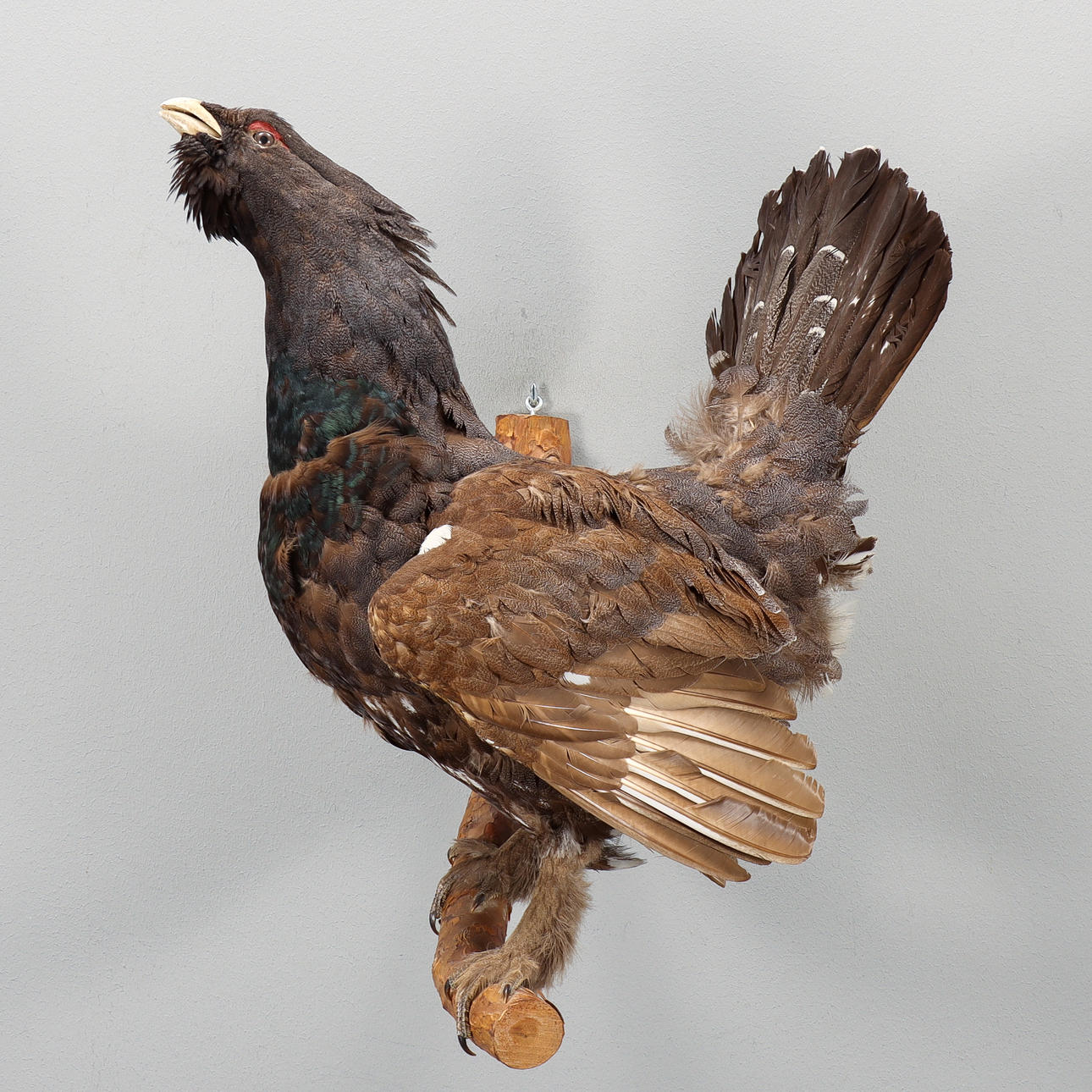 POLLA TARTA rellena.