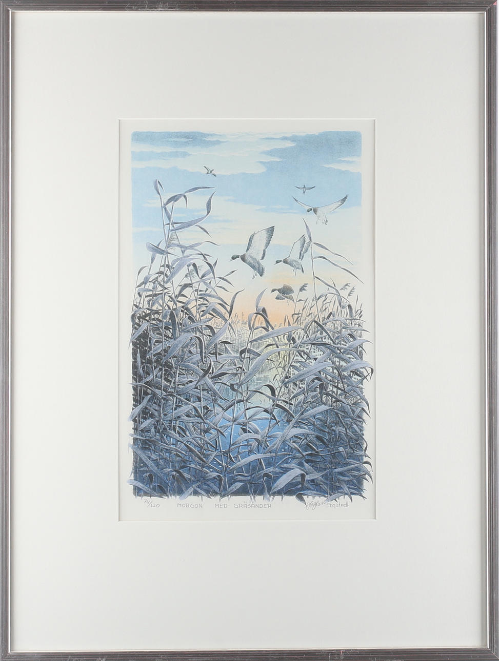 HAGHANS ENGSTEDT. "Morgon med gräsänder", färglitografi, signerad samt numrerad 74/120.