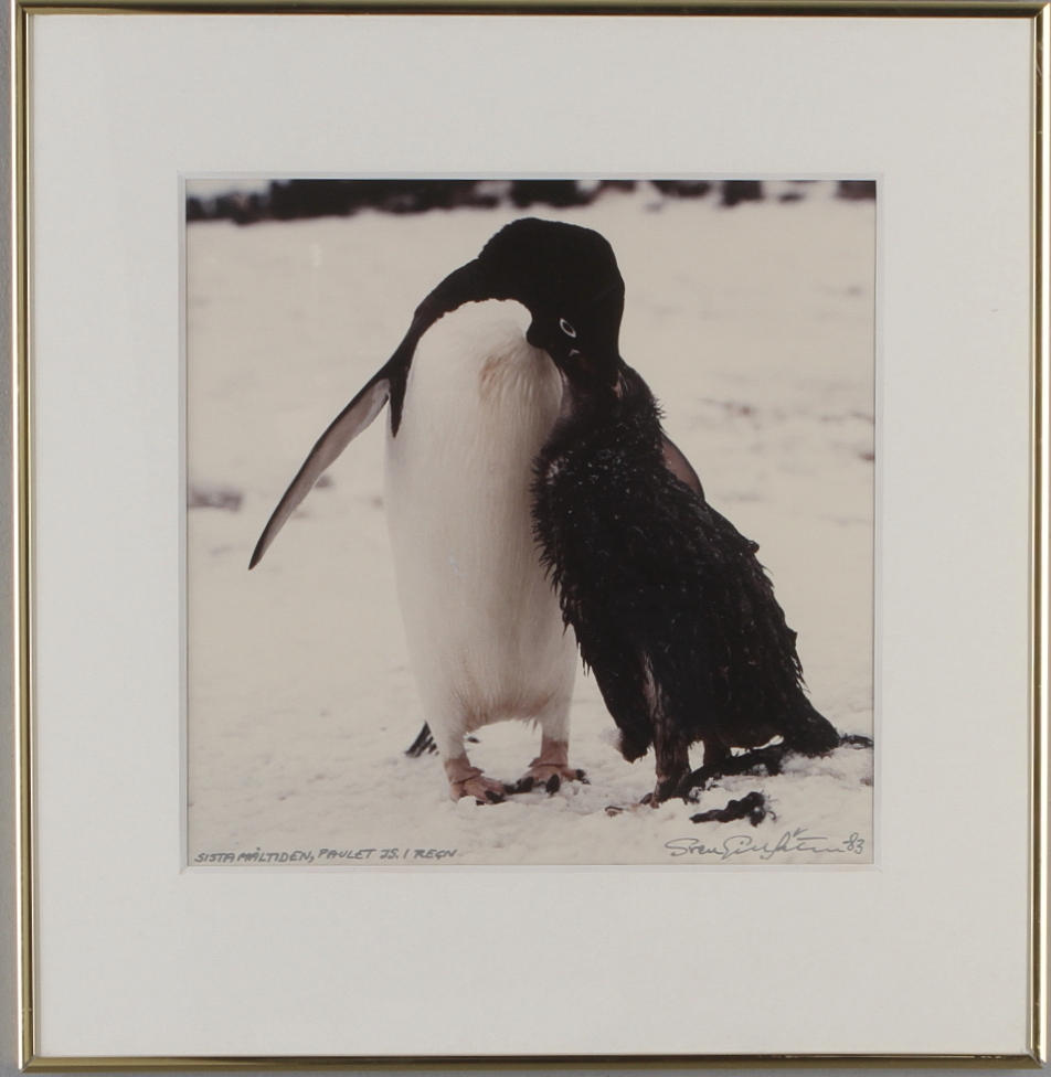SVEN GILLSÄTER. "Sista måltiden", fotografi , signerat och daterat-83.
