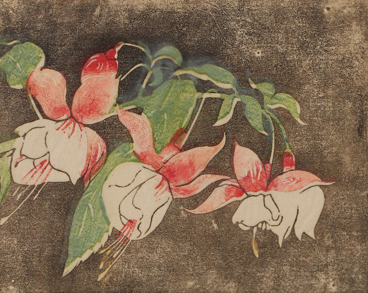 ANNA PERSMAN. “Fuchsia”, woodcut, signed.