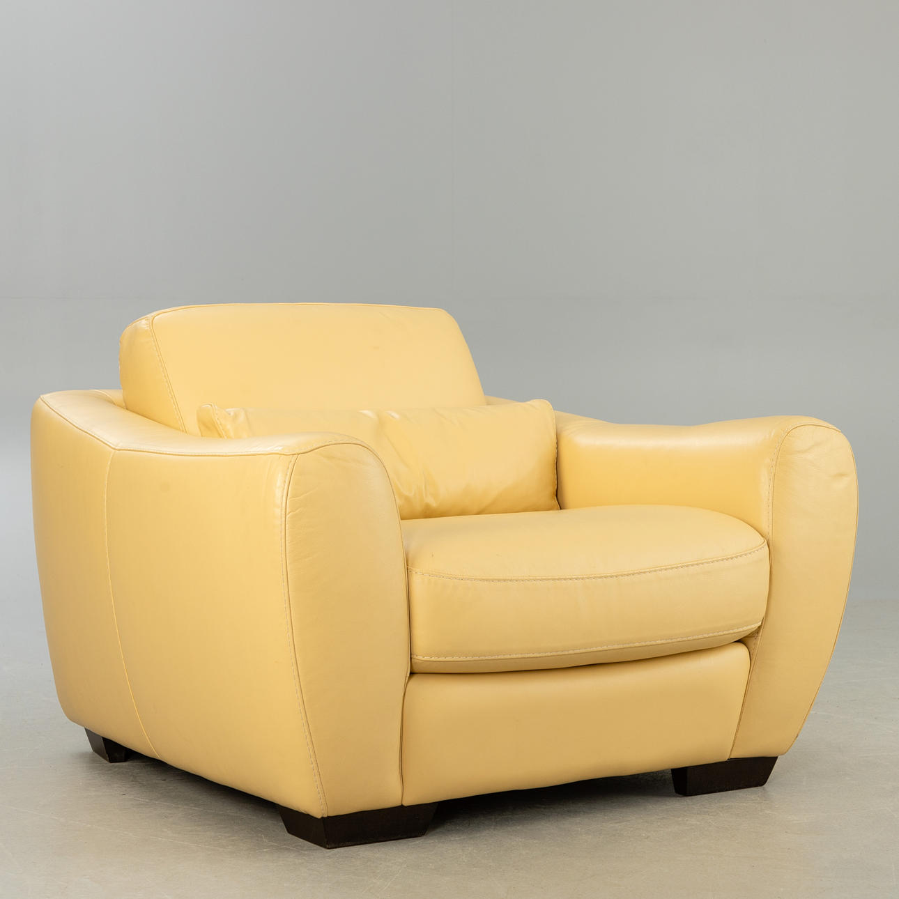 Ledersessel / Clubsessel.