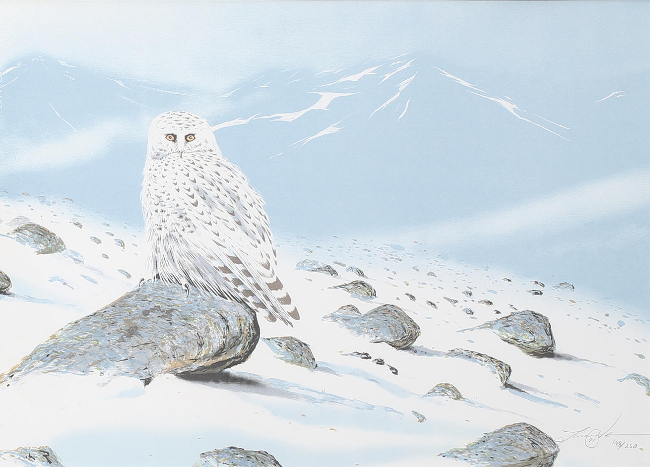 JONAS NILSSON. Fjälluggla, färglitografi, signerad, numrerad 148/250 och daterad 91.