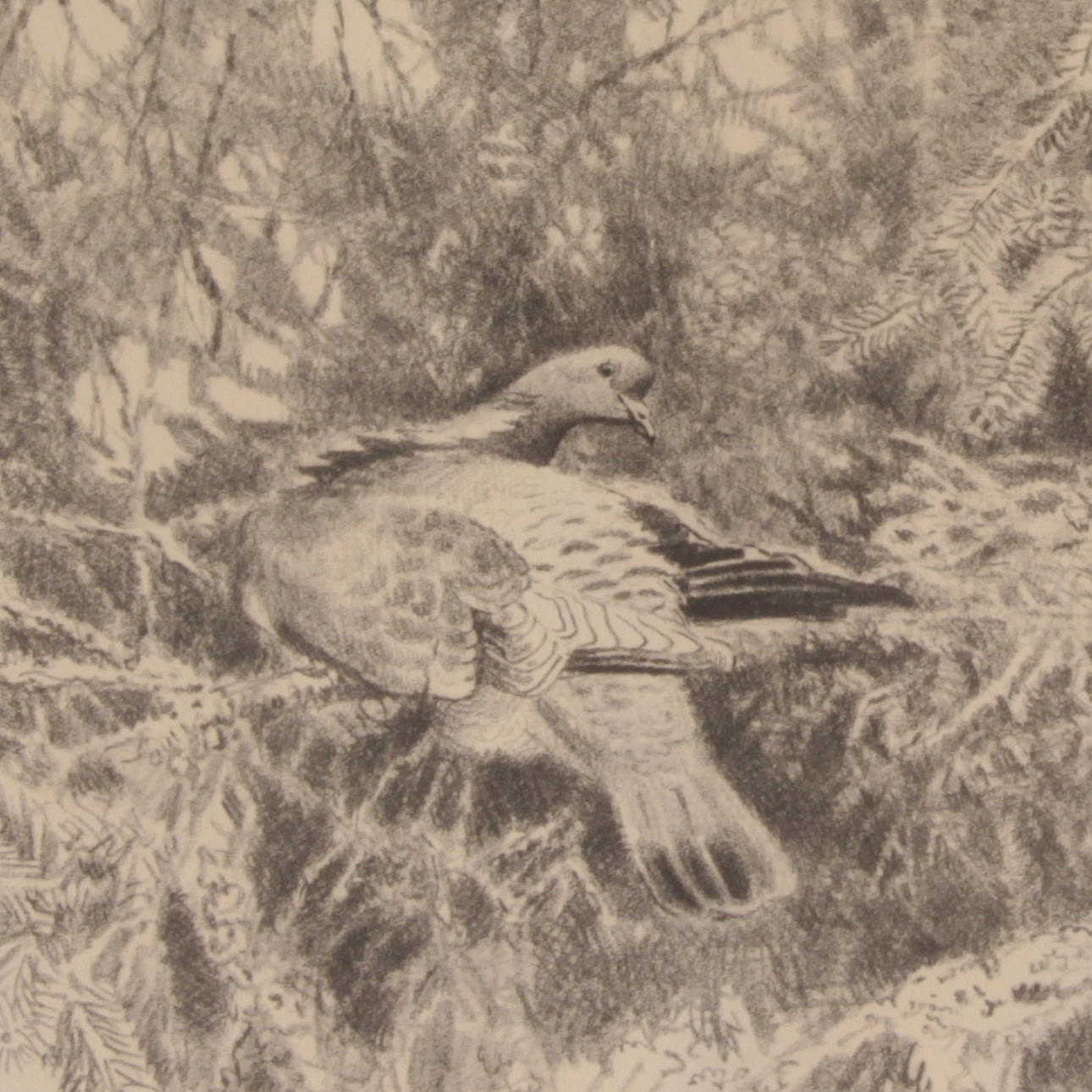 HARALD WIBERG. Tryck, 3 st. Signerade.