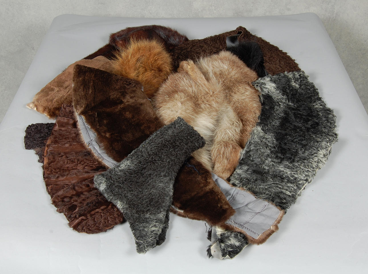 PÄLSKRAGAR, 11 st från körsnär.