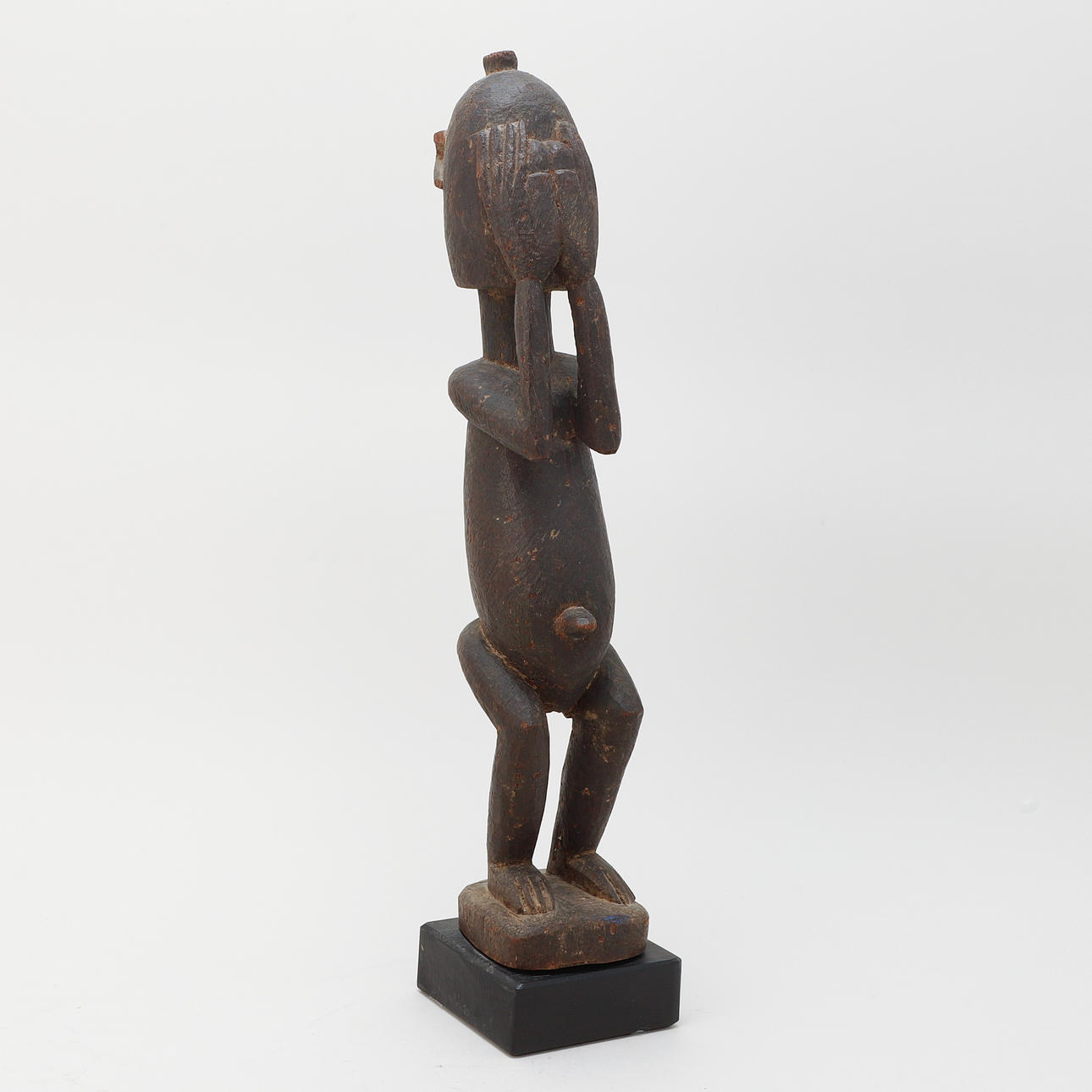 STATY, Africa.