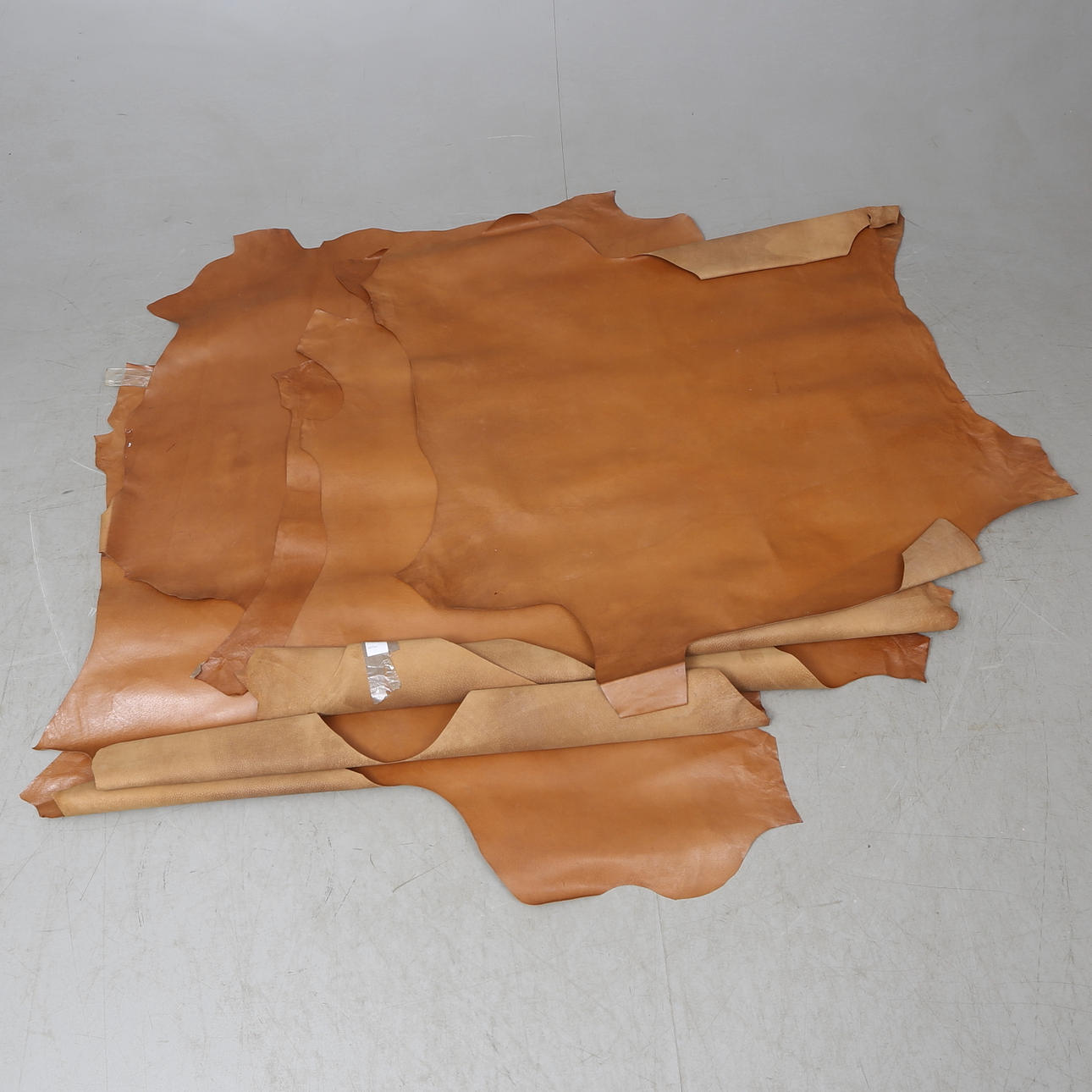 SKINNBITAR, 6 st, Utok.
