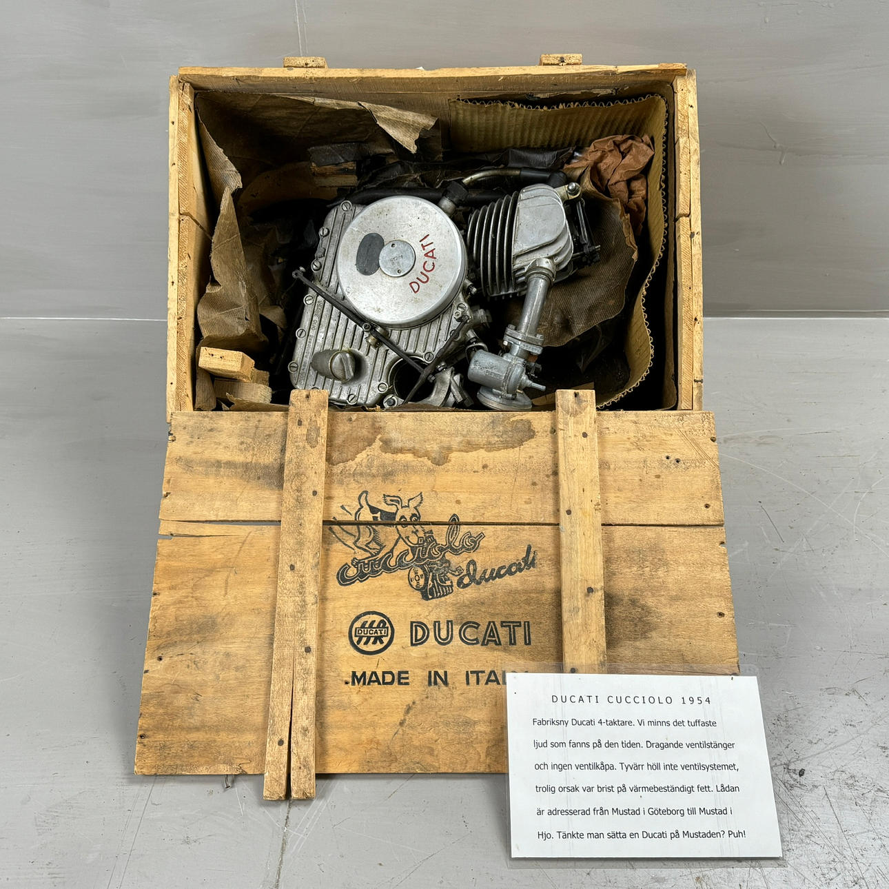 DUCATI CUCCIOLO, halvmotor, ny i trækasse, ca 1954.