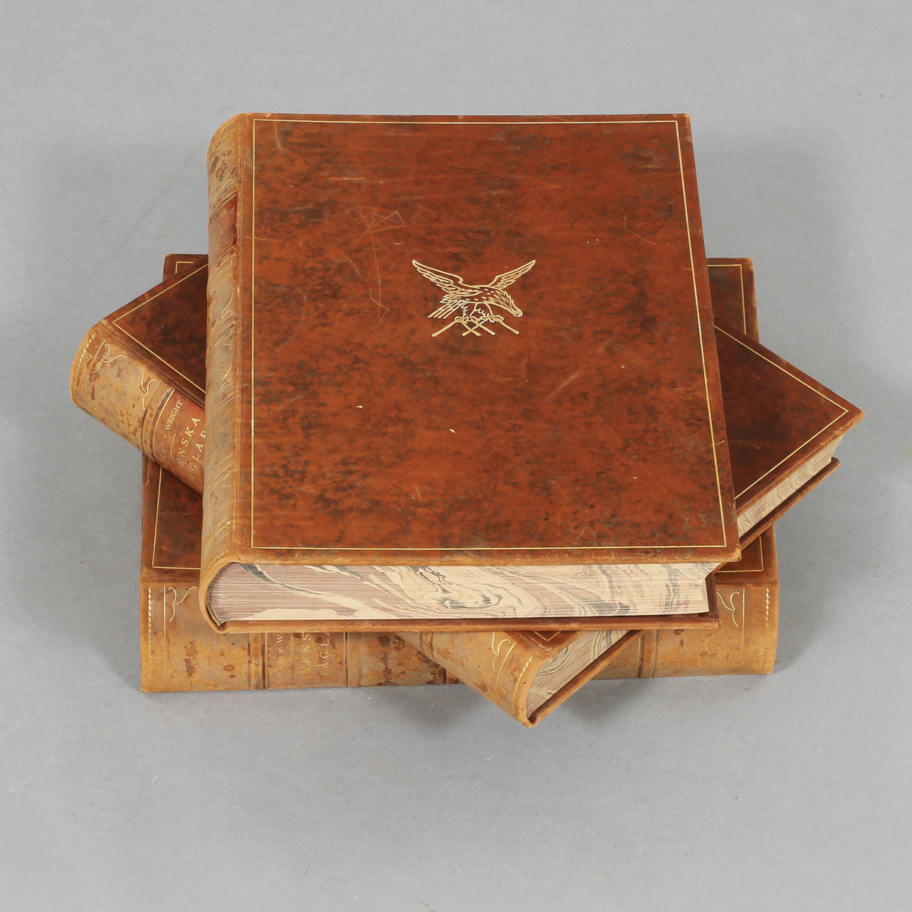 BÖCKER, 3 band, "Svenska fåglar", M.W. & F. v Wright.