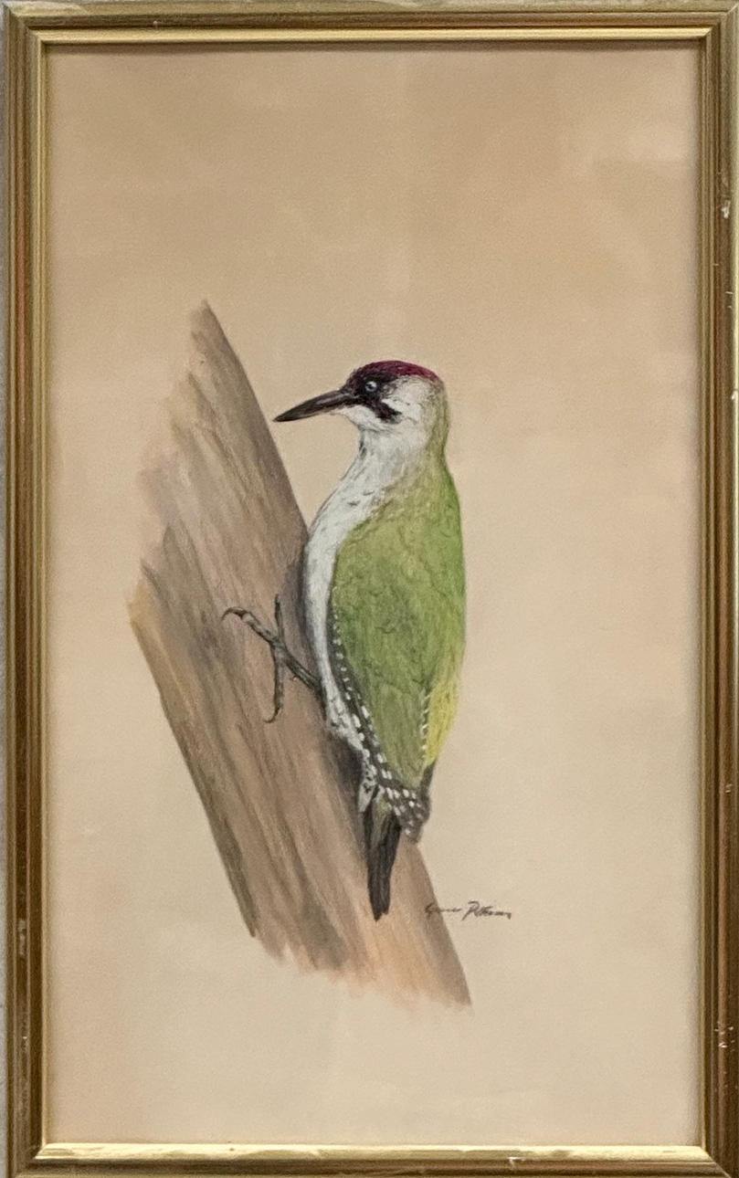 GUNNAR PETERSSON. Pastell.