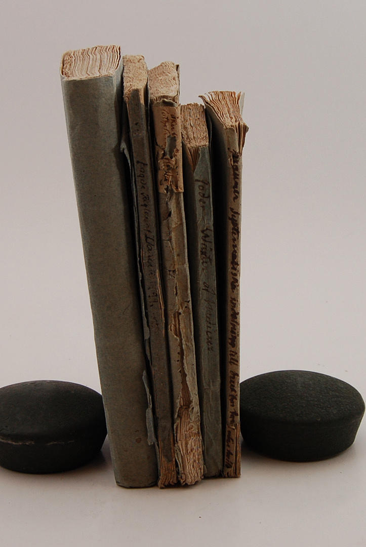 BÖCKER, 5 stycken 1700-tals jordbruksböcker.