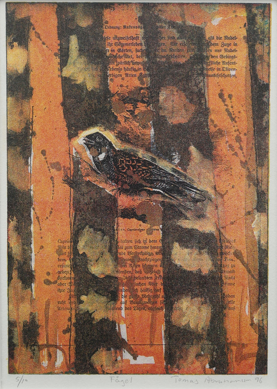 TOMAS ABRAHAMSSON, colour lithograph, “Bird”, numbered 5/10, signed, dated -96.