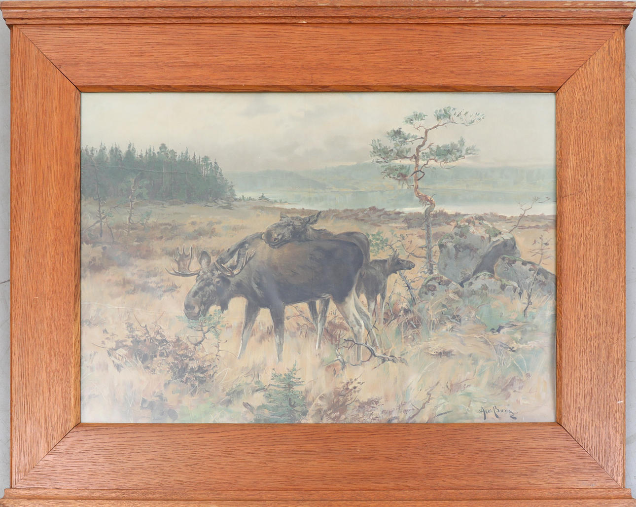 AXEL BORG. EFTER. tryck, älgmotiv.